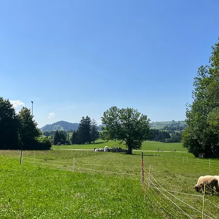 Gugg Ins Moos * Oy-Mittelberg